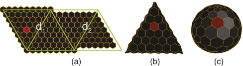 Figure 4. (a) A red hexagon is shown on an unfolded tetrahedron. (b) The corresponding hexagonal face is drawn in red on a refined tetrahedron. (c) The corresponding cell is shown on a spherical tetrahedron.