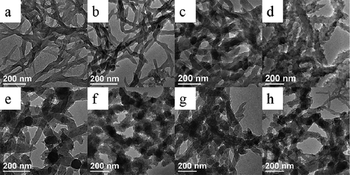 Figure 4. TEM images of PANI prepared at 5°C (a–d) and 25°C (e–h) at different concentration of NaCl: (a, e) 0 M; (b, f) 0.2 M; (c, g) 0.4 M and (d, h) 0.6 M NaCl.