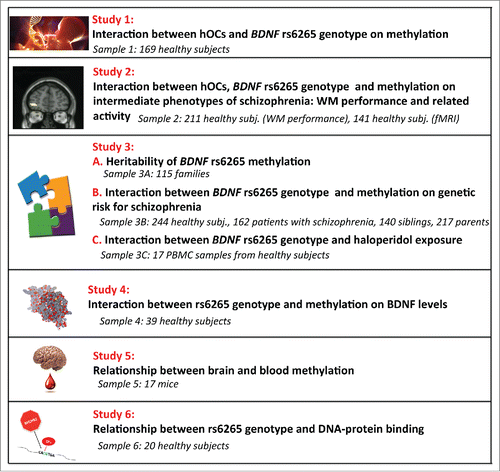 Figure 1. Research design.