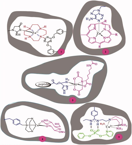 Figure 7. Some metal-mediated imprint interactions.