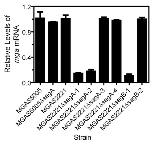 Figure 6. Relative levels of mga mRNA in MGAS5005, MGAS2221, and their ΔsagA or ΔsagB mutants. Levels of mga mRNA were normalized to that of the corresponding wild-type strain.