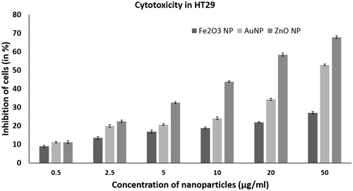 Figure 1. Anticancer activity of iron oxide (Fe2O3 NP), gold (AuNP) and zinc oxide (ZnO NP) nanoparticles in HT 29 cells determined by MTT assay at concentrations ranging from 0.5 to 50 µg/ml. The error bar indicates means ± standard deviations from three independent experiments performed in triplicate.