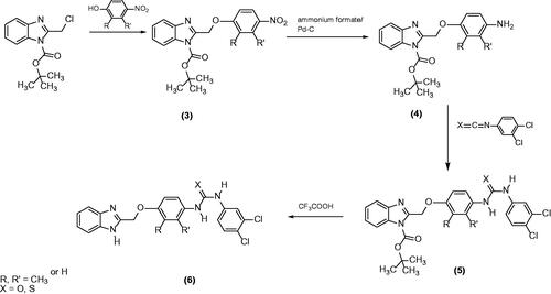 Figure 3. Synthesis of the novel diflapolin derivatives.