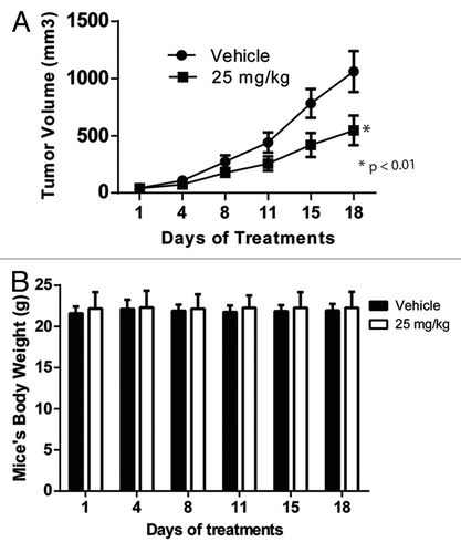 Figure 5. MLS-2384 suppresses tumor growth of A2058 human melanoma xenografts in NSG mice. MLS-2384 was administrated to NSG immunodeficient mice through oral gavage twice daily at a dose of 25 mg/kg for 18 d. Mouse tumor volume and body weight were measured for every 3 or 4 d for MLS-2384-or vehicle- treated mice. (A) Tumor volume vs. days of treatments. Points, mean (n = 8); bars, SE; *P < 0.01 vs. control. (B) Body weight vs. days of treatments. Points, mean (n = 8); bars, SE.