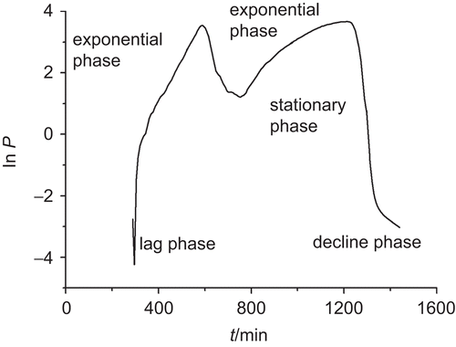 Figure 1.  The power–time curve of E. coli growth at 37°C without any substance. E. coli was cultured in LB culture medium and monitored using a TAM air isothermal calorimeter, ampoule method at 37°C.