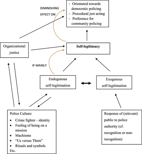 Figure 1. Conceptual framework of police legitimacy and police culture through the lens of self-legitimacy. Highlighting that self-legitimacy that is primarily endogenously constructed can diminish the desirable (cf. police legitimacy-enhancing) and known consequences associated with self-legitimacy.