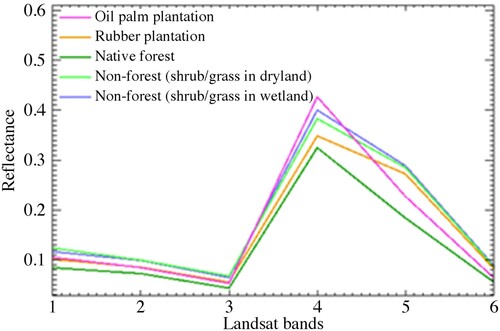 Figure 3. Mean reflectance of training sample for native forest, oil palm and rubber plantations, and non-forest (dryland and wetland) in Landsat bands with band 1 (Blue), band 2 (Red), band 3 (Green), band 4 (Near Infrared), band 5 (SWIR 1), and band 6 (SWIR 2).
