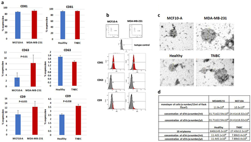 Figure 1. Characterization of isolated sEVs. a. FACS analysis showing the expression of CD81, CD63, and CD9 in sEVs isolated from MDA-MB-231 cells compared to MCF10-A cells (n = 6) and from plasma of TNBC patients compared to plasma of healthy female volunteers (n = 10) Results are expressed as mean±SE; p values are shown in the figure (ANOVA). b. Gated small vesicles (a) discarding debris. Representative histogram showing the distribution of sEVs. In red, positive for CD81, CD63 and CD9 in TNBC derived sEVs. In blue, CD81, CD63 and CD9 positives sEVs derived from healthy or normal breast cells. Isotype control (IgG1-APC) c. Morphology and size of isolated sEVs assessed with transmission electron microscopy. Scale bar = 100 nm. D. NTA results of sEVs isolated from 10 × 106 cells or from 10 ml plasma derived from one sample of each of the sources.