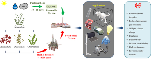 Figure 1. Schematic representation of macroalgal bioelectricity and bioplastics from cradle-to-gate perspectives for durable applications.