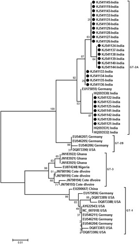 Figure 2. Phylogenetic analysis of partial NS1 region (256 bp) sequenced during this study (accession numbers KJ541119 to KJ541145). The other sequences used for analysis are denoted by the respective genbank accession numbers. Percent bootstrap support is indicated at each node. Genotypes are designated as brackets. Solid circles reperesent sequences obtained during the present study. Scale bar indicates nucleotide substitutions/site.