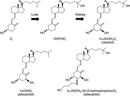Figure 1 Chemical structures of native vitamin D3 and active vitamin D3 analogs.