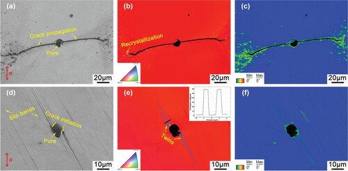 Figure 2. The EBSD analysis of typical pores near fracture surface after (a-c) IP-TMF and (d-f) OP-TMF cycling. (a) and (d) BSD maps, (b) and (e) IPF, (c) and (f) KAM maps. Inset of (e) displaying the typical orientation angle of the twinning bands.