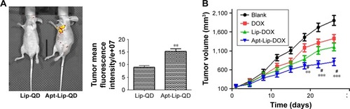 Figure 4 Targeting delivery and antitumor efficacy of ApDC in vivo.Notes: (A) QD signals in mouse bodies were scanned 4 h following injection. The fluorescence intensity was collected from three independently analyzed mice. Data are shown as mean ± SD (**P<0.01). (B) Volume of xenograft tumors derived from NaCl, free DOX, Lip-DOX, and Apt-Lip-DOX mice. Data are shown as mean ± SD (n=5 in each group). **P<0.01, ***P<0.001 vs blank. #P<0.05 vs Lip-DOX.Abbreviations: ApDC, aptamer–drug conjugates; Apt, aptamer; DOX, doxorubicin; Lip, liposome; QD, quantum dot.