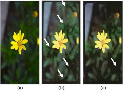 Figure 4. Contour and gamma crush phenomenon of the 5.99’ QHD+ AMOLED display panel. (a) Original image, (b) Contour image, (c) Low gray gamma crush (LGGC) image. This phenomenon appears in 2 nit brightness mode.