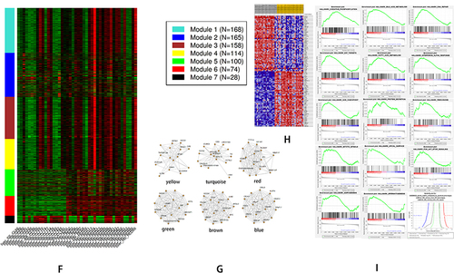 Figure 3 The bioinformatics analyses of global genetic features of NAFLD using data of GSE89632. (A) The heatmap shows the expressions of the top 50 significant genes in liver samples of SS versus HC; The deep red color represents the extent of high expressions of DEGs, whereas the green color represents the lower expressions of DEGs. The sample number from GSM238570 to GSM2385755 on the left bottom of heatmap and GSM 2385773, GSM 2385777 indicate SS group, whereas the sample numbers on the right bottom from GSM2385757 to GSM2385782 except GSM 2385773, GSM 2385777 indicate HC group. The right side lists the official gene symbols of the top 50 significant genes. (B) The volcano plot of expressions of DEGs; the define and cut-off of up- (red) or down- (green) regulated genes are the absolute values of log2Fold change which exceed 2, and the label of Y-axis is the -log10 adjusted P-value. (C) The overview of GO analysis of the DEGs, the order was defined by collected counts of DEGs in multiple Gene ontology (biological process, molecular function, and cellular component). P < 0.05. (C) The overview of KEGG pathway analysis of the DEGs, the order was defined by collected counts of DEGs in multiple KEGG pathways. P < 0.05. (D) The overview of respective GO component analysis of the DEGs, the order was defined by collected counts of DEGs in multiple Gene ontology (biological process, molecular function, and cellular component). P < 0.05. (E) WGCNA analyses show the dendrogram of genes divided into 7 modules with different colors. The height shows the heterogeneities of different co-expressed genes groups. (F) WGCNA analyses show the heatmap on the expression of 7 different modules, the different modules in different colors indicate corresponding co-expressed gene groups, the gene amounts have been indicated on the correct upper box. The bottom displays a liver sample. SS: simple Steatosis, HC: normal health control. (G) WGCNA analyses show the network connections in each meaningful module. A different color indicated each module. (H) GSEA analyzed the heatmap of top 50 genes; The upper label showed numbers of liver samples, and the correct label indicates the official gene symbols of the top 50 significantly expressed genes. Red color indicates up-regulated, and blue indicates down-regulated. The samples ID with SS indicate SS group, whereas sample ID with HC indicates HC group. (I) An overview of up-regulated genes by GSEA analysis. In each figure, the up-regulated genes sets were displayed with a positive enrichment score. The last figure of the butterfly plot showed a signal-to-noise score in this GSEA analysis.