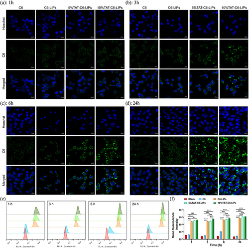 Figure 4 The effects of TAT modification on cellular (HCECs) uptake behaviors. (a-d) CLSM observation of cellular (HCECs) liposome uptake with or without TAT modification. Scale bar=20 μm. (e) Flow cytometry evaluation of cellular (HCECs) uptake, and (f) quantification of cellular (HCECs) uptake. ** p<0.01, *** p<0.001.