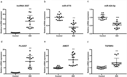 Figure 5. The relative expression level of differentially-expressed genes in ceRNA axes. (a) The relative expression level of lncRNA XIST. (b) The relative expression level of miR-4775. (c) The relative expression level of miR-424-5p. (d) The relative expression level of PLA2G7. (e) The relative expression level of AMOT. (f) The relative expression level of TGFBR3. Mean ± SD, n = 15; The two-tailed Student t-test was used to assess statistical significance: ***P < 0.001. CeRNA, competing endogenous RNA; lncRNA, long noncoding RNA