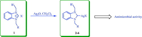 Scheme 1. Synthesis of N-propylphthalimide and N-methyldioxane substituted Ag–NHC complexes.