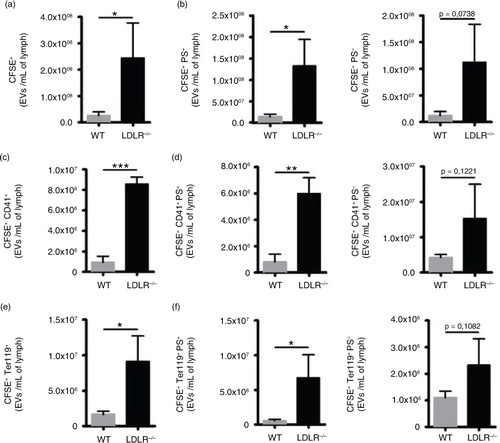 Fig. 5.  Characterization of EVs in lymph of atherosclerotic mice. Flow cytometry was used to identify (a) total CFSE+ EVs based on their (b) PS expression. (c) CFSE+CD41+ and (e) CFSE+ Ter119+ EVs were analysed based on their (d, f) PS expression. Experiments were performed with 3 mice per experimental group. (*p<0.05, **p<0.01, ***p<0.001).