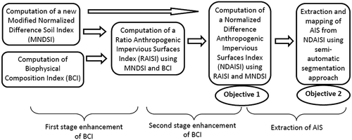 Figure 1. Conceptual schema of the study.