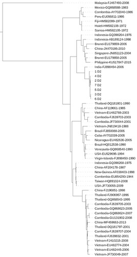 Figure 2 Phylogenetic tree based on the level of a similar sequence of 7 DENV2 strains and 49 reference viruses. The viruses from Vietnam in 2017 are denoted by D2, the strains circulated in Vietnam in the past and in the world are denoted by the country name, GenBank accession number and the year causing the disease.