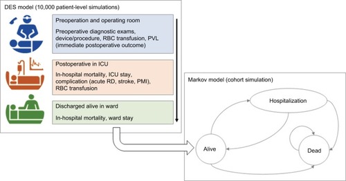 Figure 1 DES model for the in-hospital phase (top-left box) and lifetime Markov model (bottom-right box) for SU-AVR vs TAVIs comparison.