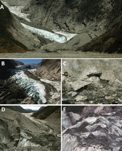 Figure 2  Debris cover and landforms on the lower Franz Josef Glacier: A, Differential ablation at the terminus of Franz Josef Glacier, as shown by the contrast in surface elevations of both the debris-covered terminus and medial moraine compared with bare ice surfaces; B, AD (Ablation Dominant-2) type medial moraine (sensu Eyles & Rogerson Citation1978) formed by emergence of englacial debris that has been entrained within the glacier above the equilibrium line altitude (ELA); C, ‘glacier table’ formed by insolation shielding of ice pedestal; D, the debris-covered terminus, with clean ice surfaces visible beneath the <0.5 m thick debris; E, ablation cones forming at the point of emergence of englacial debris at the upper end of the medial moraine under very thin debris (c. 2 cm).