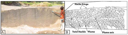 Figure 17. Plumose structures with weakly marked hackle. (B) Sketch of the photo, with the grey arrow showing the propagation direction.