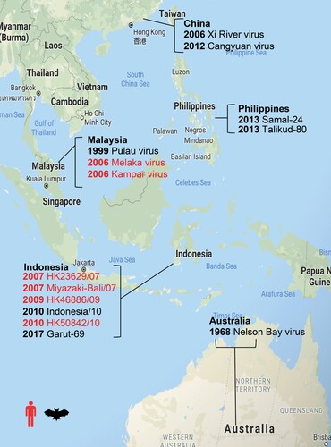 Figure 1. Map of representative PRV detections. Year of PRV outbreaks or isolation noted by country. Isolations from humans are shown in red and isolations from bats are shown in black.