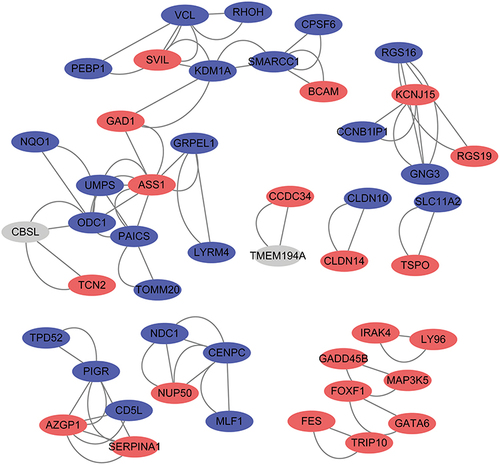 Figure 5 Construction of PPI network. The red boxes indicate the up-regulated genes and the blue boxes represent down-regulated genes.