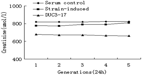 Figure 3. DUC3-17 strain: genetic stability of creatinine degradation (n = 5).