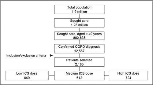 Figure 1 Study flow diagram. A retrospective observational study was carried out, made from the review of medical records (computerized databases, with anonymised and dissociated data) of patients diagnosed with COPD.