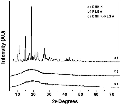 Figure 3. X-ray pattern obtained for (a) DNHK, (b) PLGA and (c) DNHK-loaded PLGA nanoparticles.