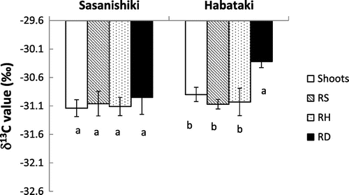 Figure 4. δ13C value of roots at different soil layers and shoots of Sasanishiki and Habataki under soil moisture fluctuation condition in Experiment 1.