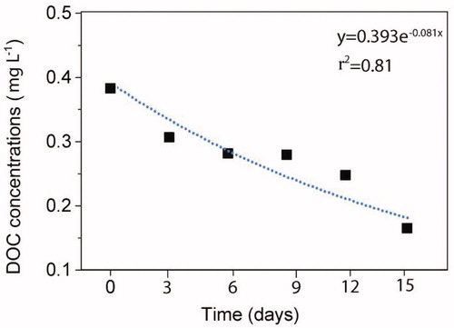 Fig. 6. Exponential decrease of DOC concentrations in snow cover on Chukchi sea ice during the biodegradation experiment in May of 2017 at Barrow.