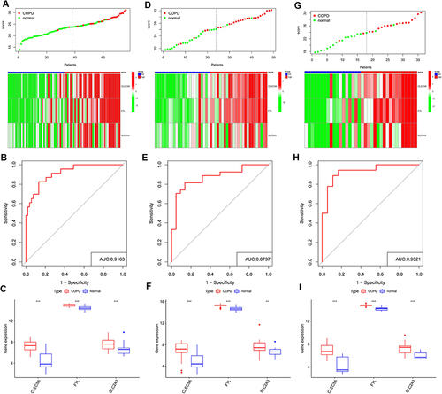Figure 5 Identification of a 3-gene signature. Different results and expressions of CLEC5A, FTL and SLC2A3 between high- and low-score groups in GSE20257 (A), GSE10006 (D) and GSE8545 (G). AUC of predicted outcome in GSE20257 (B), GSE10006 (E) and GSE8545 (H). Expressions of CLEC5A, FTL and SLC2A3 in COPD patients and healthy controls in GSE20257 (C), GSE10006 (F) and GSE8545 (I). ns, no significance; **P < 0.01, ***P < 0.001.