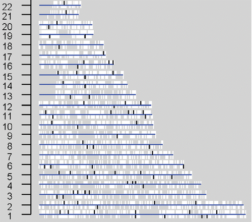 Figure 3 Loci identified as significantly different in DNA methylation between male and female postmortem brain samples. DNA methylation profiles were measured by human CpG island microarrays in a common reference design. Each microarray interrogates 12,912 loci whose locations on the chromosomes are shown in white in the plot. Data were logarithmically transformed and then normalized, by the print‐tip loess method, to remove nonbiological effects. Vertically: human chromosomes 1 to 22. The t‐statistic of the male group versus female group was calculated for each locus and its P‐value was also obtained. Loci with P‐values below 0.05 are painted black in the plot.