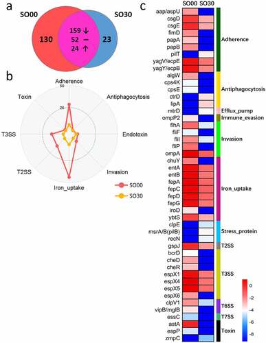 Figure 2. Changes in gut virulence factor (VF) genes after the intervention in the simple obese (SO) group. (a) The prevalence of VF genes in the SO group on dietary intervention day 0 (SO00) and 30 (SO30). (b) Radar chart shows the top eight abundant VF classes that decreased after the intervention. Each spoke in the chart represents one VF class, and the concentric circle indicates the abundance. (c) The relative abundance (natural log transformed) of the 47 featured differential VF genes before and after intervention in the SO group. These VF genes were selected using random forest feature selection and with a more than 8-fold change in abundance between SO00 and SO30