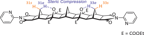 Figure 3. Structure of 2-pyridyl [5]polynorbornane 2. The left 2-pyridyl heterocycle is shown in the syn conformation, while the right is shown in the anti conformation.