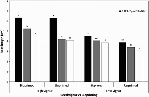 Figure 2. Root length of soybean seedling influenced by seed vigour level and biopriming with Trichoderma under salt stress.
