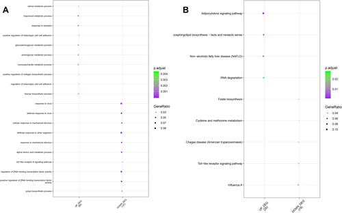 Figure 3 Functional enrichment analysis of DEGs. (A) GO analysis of the DEGs. (B) KEGG pathway analysis of the DEGs. The y-axis represents the GO terms or KEGG pathways, and the x-axis represents up-regulated and down-regulated DEGs. The size of bubbles represents the number of assigned genes, and the color of bubbles represents the adjusted P-value. The greater the number of DEGs associated with the term or pathway, the larger the bubble.