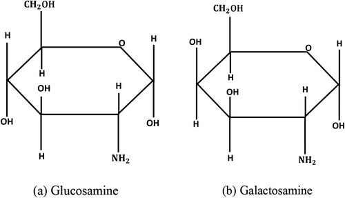 Figure 1. Glucosamine and Galactosamine structural formula. (a) Glucosamine (b) Galactosamine.