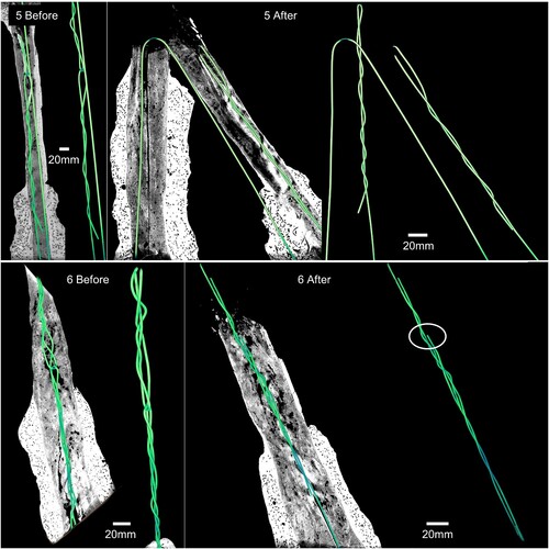 Figure 13. XRT images of a group 5 specimen before and after testing (above) and a group 6 specimen before and after testing (below) with steel wires highlighted in green both exposed and within the plaster matrix. In the group 5 image the looped wire has a break in this specimen, which was not typical of group 5 specimens, but showed that in addition to unwinding, the looped specimen can become detached in a CFG reinforced specimen. All wires in looped-twisted group 6 ultimately failed by breaking.