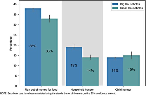 Figure 4. Food insecurity and hunger by household size: NIDS-CRAM Wave 5. Source: Authors’ calculations from NIDS-CRAM Wave 5 data.