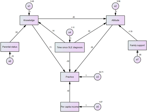 Figure 1 The KAP path analysis.