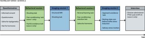 Figure 2. Overview of the testing days. The wave 1 and wave 2 assessments consist of similar testing procedures, except for two minor differences in Behavioural session 1 and the Interview (see figure). MRI = magnetic resonance imaging.
