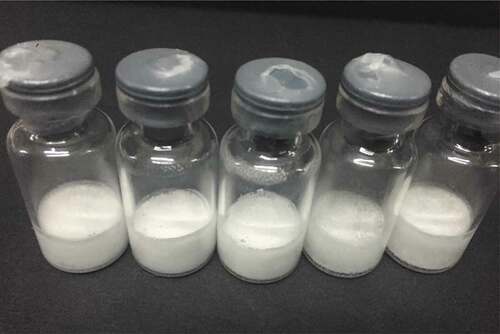 Figure 6. The freeze-drying of SA-hGM-CSF protein after purification and refolding.