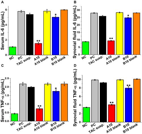 Figure 8 Concentration of pro-inflammatory cytokines. (A) Serum level of IL-6, (B) synovial fluid level of IL-6, (C) serum level of TNF-a, and (D) synovial fluid level of TNF-a [* P≤ 0.05 vs PC, ** P≤ 0.05 vs PC and TAC groups, mean± SEM, n = 5].