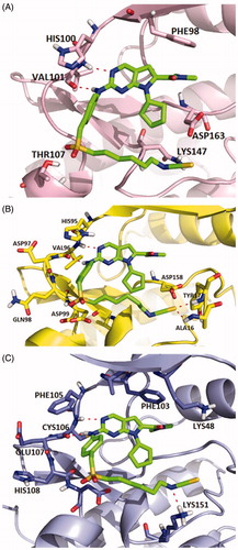 Figure 1. Representation of the predicted binding modes of compound X22 with CDKs kinase domain. X22 is shown in green. Hydrogen bonds are shown in red. (A) Proposed binding mode of compound X22 with CDK6 (PDB code: 4EZ5), CDK6 backbone is shown in light pink. (B) Proposed binding mode of compound X22 with CDK4, which employed CDK6 (PDB entry: 4EZ5) as the template for homology modelling, CDK4 backbone is shown in yellow. (C) Proposed binding mode of compound X22 with CDK9 (PDB code: 4BCF), CDK9 backbone is shown in light blue.