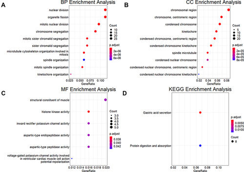 Figure 6 Functional enrichment analysis of the core genes of CA tissue samples. (A–C) Functional description of the core genes of CA tissue samples in BP, CC, and MF. (D) Pathways involved in core genes of CA tissue samples.